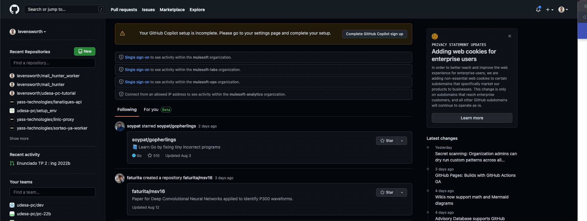 Github view